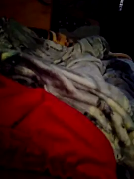 SALCEDO 041198 online show from November 2025 11:42:02 AM