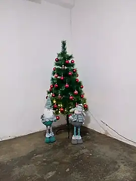 fabulousgirl online show from December 2025 03:55:01 AM