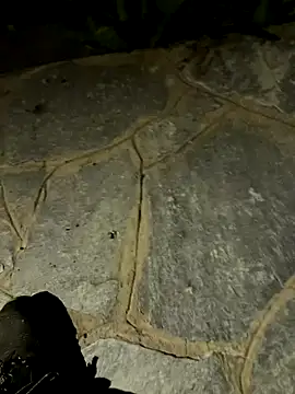 gptre online show from September 2025 07:41:01 PM