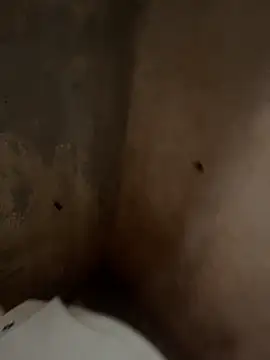 Snapshot of favelado33 chatting on September 2025 04:22:02 PM favelado33 online show from September 2025 04:22:02 PM