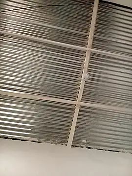 kingbickcockDn online show from November 2025 05:35:02 PM