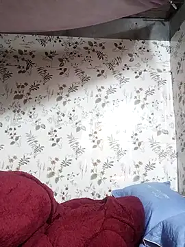 Snapshot of zhen-zo chatting on November 2025 03:17:01 AM zhen-zo online show from November 2025 03:17:01 AM