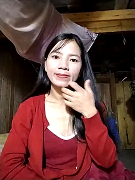 lmc-zz online show from November 2025 11:48:02 PM