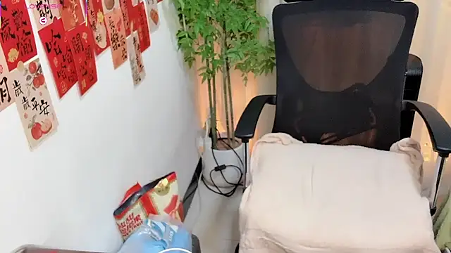 NEWONETO online show from March 2026 12:20:02 PM