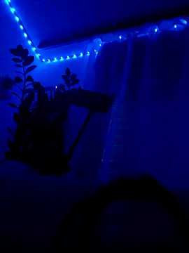 Taylor Sex6 online show from February 2026 08:20:01 AM