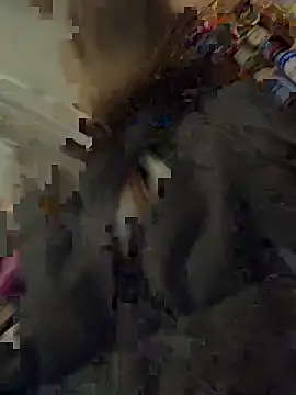 silentasachurchmouse online show from December 2025 04:16:01 PM