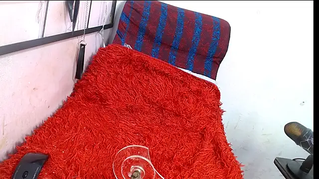 codorniz2025 online show from January 2026 08:33:01 PM