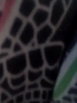 Snapshot of ParejaXXXAr chatting on December 2025 04:58:01 PM ParejaXXXAr online show from December 2025 04:58:01 PM