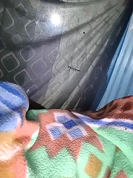 sam salman online show from October 2025 06:17:02 PM