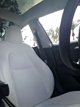 Roddog18 online show from December 2025 07:32:01 PM