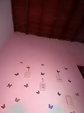 Snapshot of Solaangel_ chatting on November 2025 12:25:01 PM Solaangel online show from November 2025 12:25:01 PM