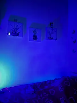 Snapshot of Solaangel_ chatting on December 2025 11:44:01 PM Solaangel online show from December 2025 11:44:01 PM