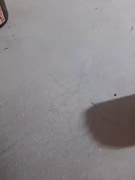 Snapshot of JuDilva8451 chatting on November 2025 11:58:01 PM JuDilva8451 online show from November 2025 11:58:01 PM