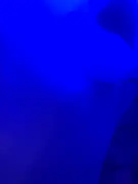 Dammianmiller online show from February 2026 03:26:01 AM