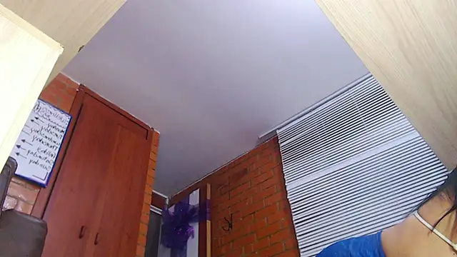 Snapshot of Salome-sw chatting on December 2025 10:36:01 PM Salome-sw online show from December 2025 10:36:01 PM