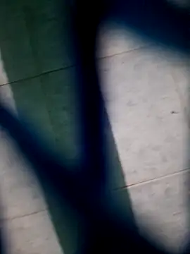 Snapshot of Neilhot98 chatting on November 2025 07:03:02 AM Neilhot98 online show from November 2025 07:03:02 AM