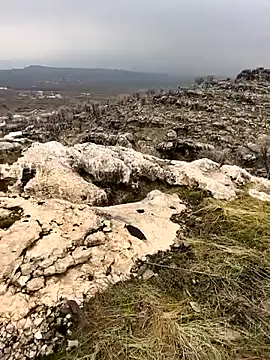 Snapshot of Sert_erkek21_ysm chatting on February 2026 10:03:02 AM Sert erkek21 ysm online show from February 2026 10:03:02 AM