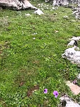 Snapshot of Sert_erkek21_ysm chatting on March 2026 10:19:02 AM Sert erkek21 ysm online show from March 2026 10:19:02 AM