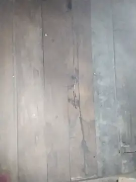 sumaybae online show from November 2025 05:06:01 AM