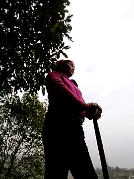 sumaybae online show from December 2025 08:23:01 AM