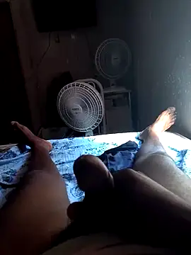 picadme online show from March 2026 04:21:02 PM