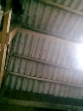 Snapshot of Ducky27021991 chatting on October 2025 12:17:01 PM Ducky27021991 online show from October 2025 12:17:01 PM