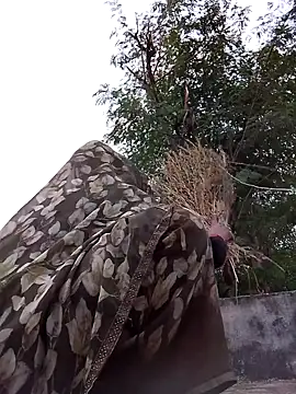 Hot eras36 online show from October 2025 11:54:02 AM