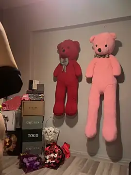 Snapshot of Teengirlmiaa chatting on December 2025 11:56:01 PM Teengirlmiaa online show from December 2025 11:56:01 PM