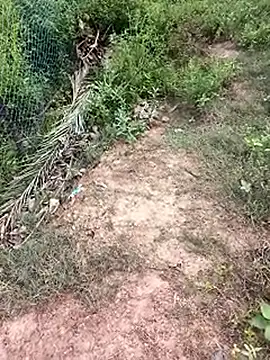 MalickKai online show from October 2025 10:49:01 AM