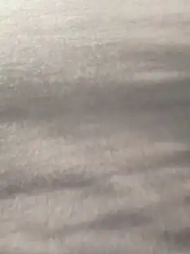 Snapshot of Y0ur_Slave chatting on March 2026 07:26:02 AM Y0ur Slave online show from March 2026 07:26:02 AM