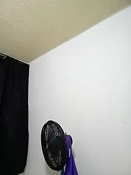 Snapshot of Nelsareth chatting on October 2025 03:17:02 AM Nelsareth online show from October 2025 03:17:02 AM