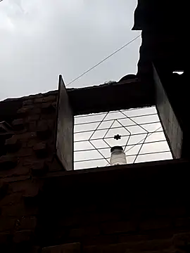 Snapshot of Co_punam chatting on February 2026 11:17:01 AM Co punam online show from February 2026 11:17:01 AM