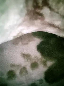 Anchal-8798 online show from January 2026 05:51:02 PM