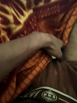 siddBus online show from October 2025 04:40:01 PM