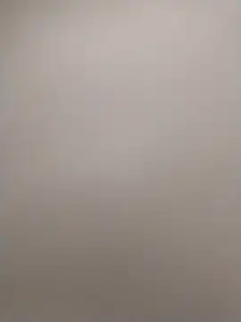 shyguy8569 online show from November 2025 04:47:01 AM