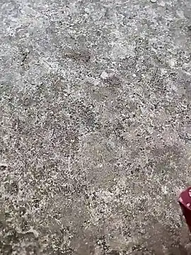 play boy-raj007 online show from November 2025 10:17:01 AM