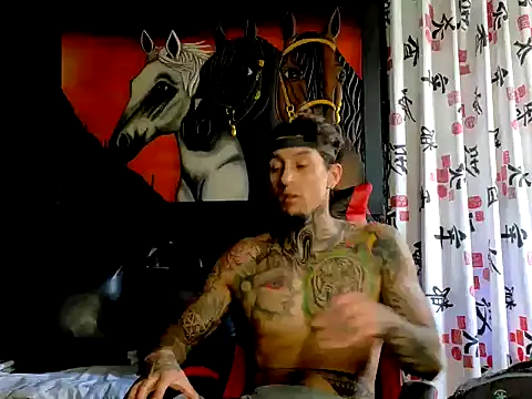 Molotov Explosive online show from December 2025 06:47:02 PM