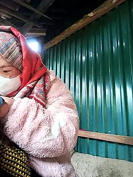 xixibabi online show from December 2025 03:56:01 AM