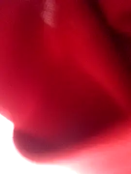 nalgastalla60 online show from February 2026 03:55:02 AM