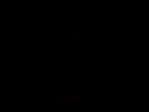 YoussefAl-Fahl online show from October 2025 10:21:02 PM