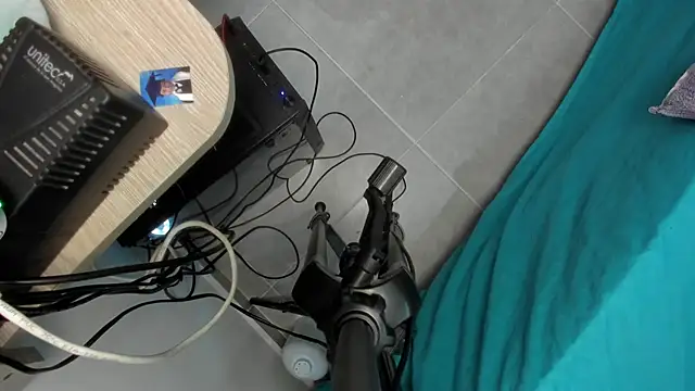 Sky Wild online show from March 2026 07:50:01 PM