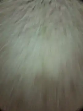 Snapshot of torresflow99nais chatting on November 2025 11:32:02 AM torresflow99nais online show from November 2025 11:32:02 AM