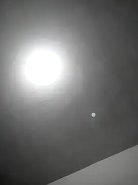 Snapshot of checheludo23 chatting on February 2026 12:20:02 AM checheludo23 online show from February 2026 12:20:02 AM