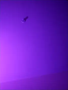 checheludo23 online show from April 2026 11:11:02 AM