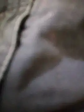 svk 05 online show from November 2025 05:45:03 PM