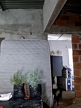 Luciferinthestreet online show from October 2025 02:55:02 AM