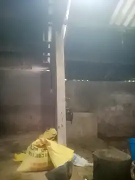 Snapshot of Myzak- chatting on October 2025 11:38:02 PM Myzak- online show from October 2025 11:38:02 PM