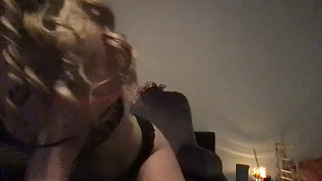 wet alleycat online show from May 2026 06:42:02 AM
