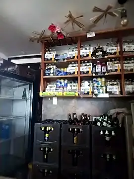 catalella16 online show from January 2026 02:22:01 PM