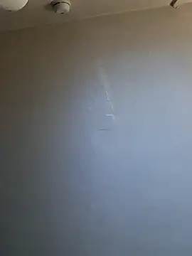 Snapshot of inked_rayray chatting on March 2026 09:31:02 AM inked rayray online show from March 2026 09:31:02 AM